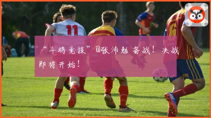 “斗鸡竞技”@张沛勉 备战！决战即将开始！