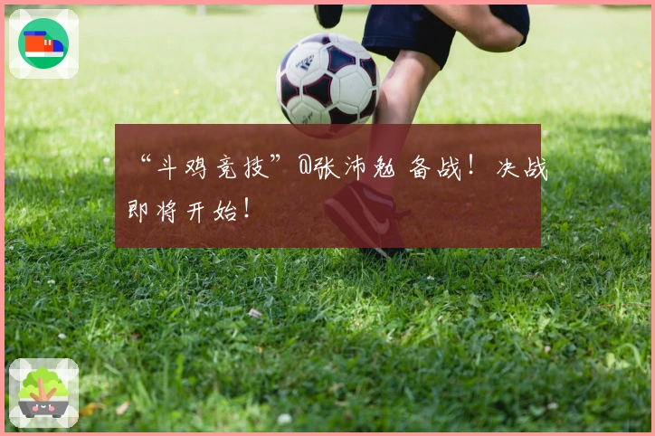 “斗鸡竞技”@张沛勉 备战！决战即将开始！